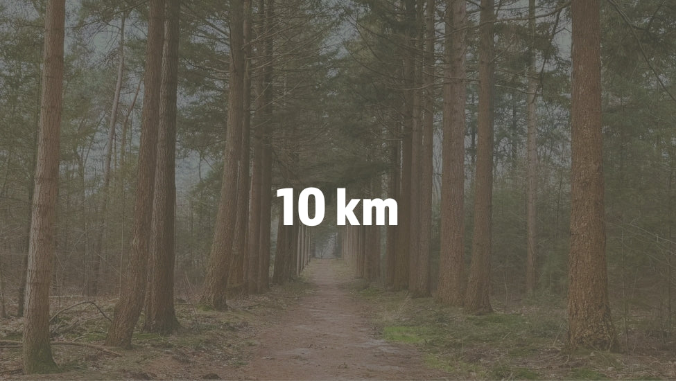 10km