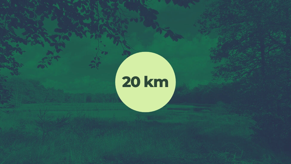 20km