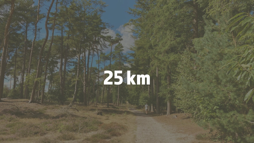 25km