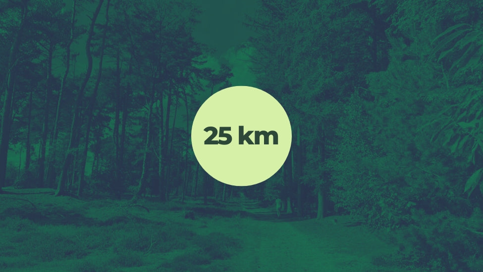 25km