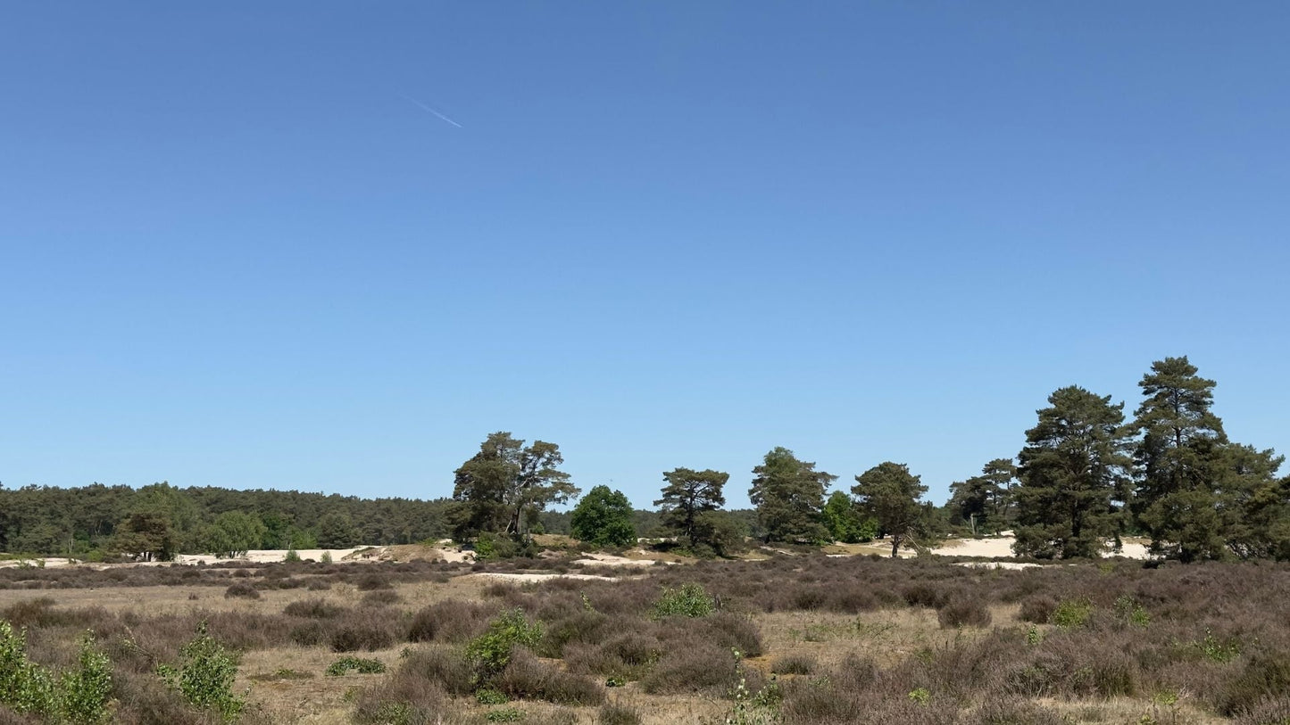 2022 - 15km - Heuvelrug Natuur Wandel4Daagse (gpx) - Natuurwandel4daagse.nl