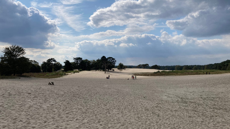 2026 - Heuvelrug Natuur Wandel4Daagse (routeboekje)