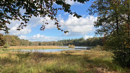 2026 - Heuvelrug Natuur Wandel4Daagse (routeboekje)