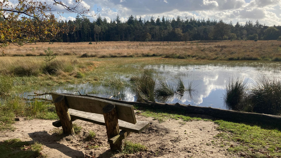 2026 - Heuvelrug Natuur Wandel4Daagse (routeboekje)