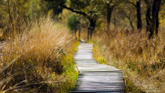 2022 - 20km - Heuvelrug Natuur Wandel4Daagse (gpx)