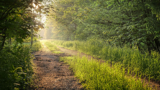 2022 - 25km - Heuvelrug Natuur Wandel4Daagse (gpx)