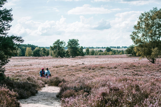 Bundel 10km - 2022/2025 - Heuvelrug Natuur Wandel4Daagse (gpx)