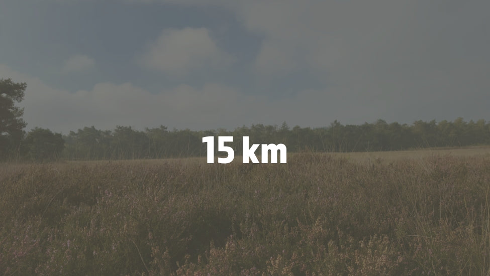 15km