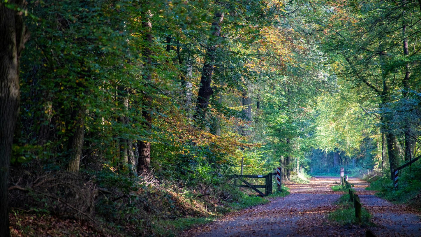 2023 - 10km - Heuvelrug Natuur Wandel4Daagse (gpx) - Natuurwandel4daagse.nl