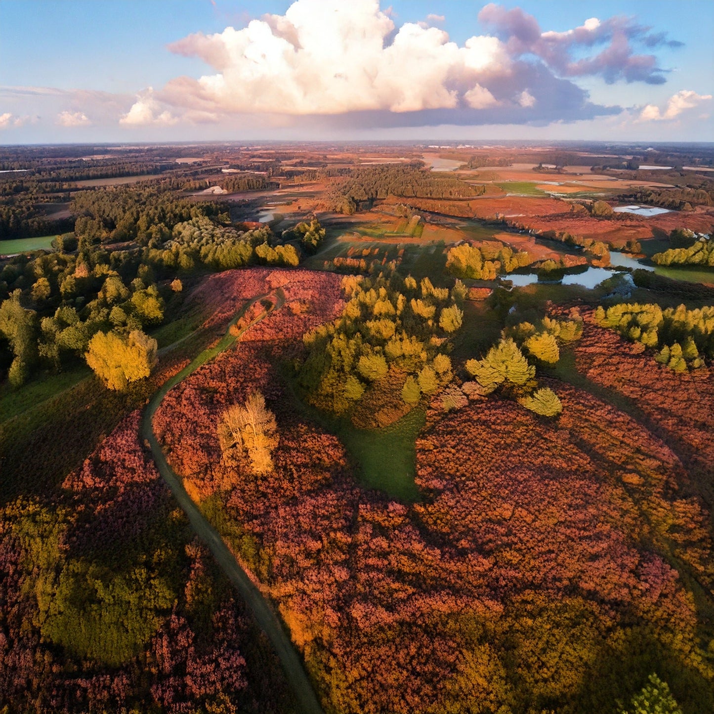 2025 - 10km - Heuvelrug Natuur Wandel4Daagse (gpx) - Natuurwandel4daagse.nl