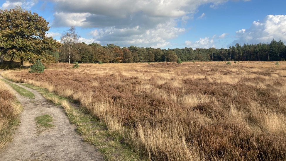 2025 - 20km - Heuvelrug Natuur Wandel4Daagse (gpx) - Natuurwandel4daagse.nl
