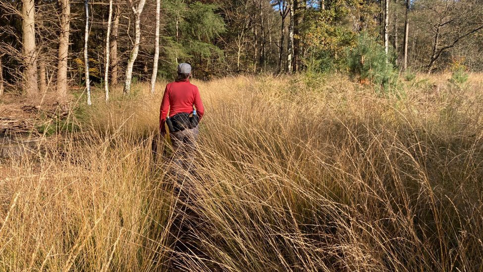 2026 - Heuvelrug Natuur Wandel4Daagse (routeboekje) - Natuurwandel4daagse.nl
