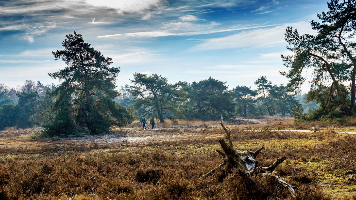 2024 - 15km - Heuvelrug Natuur Wandel4Daagse (gpx)
