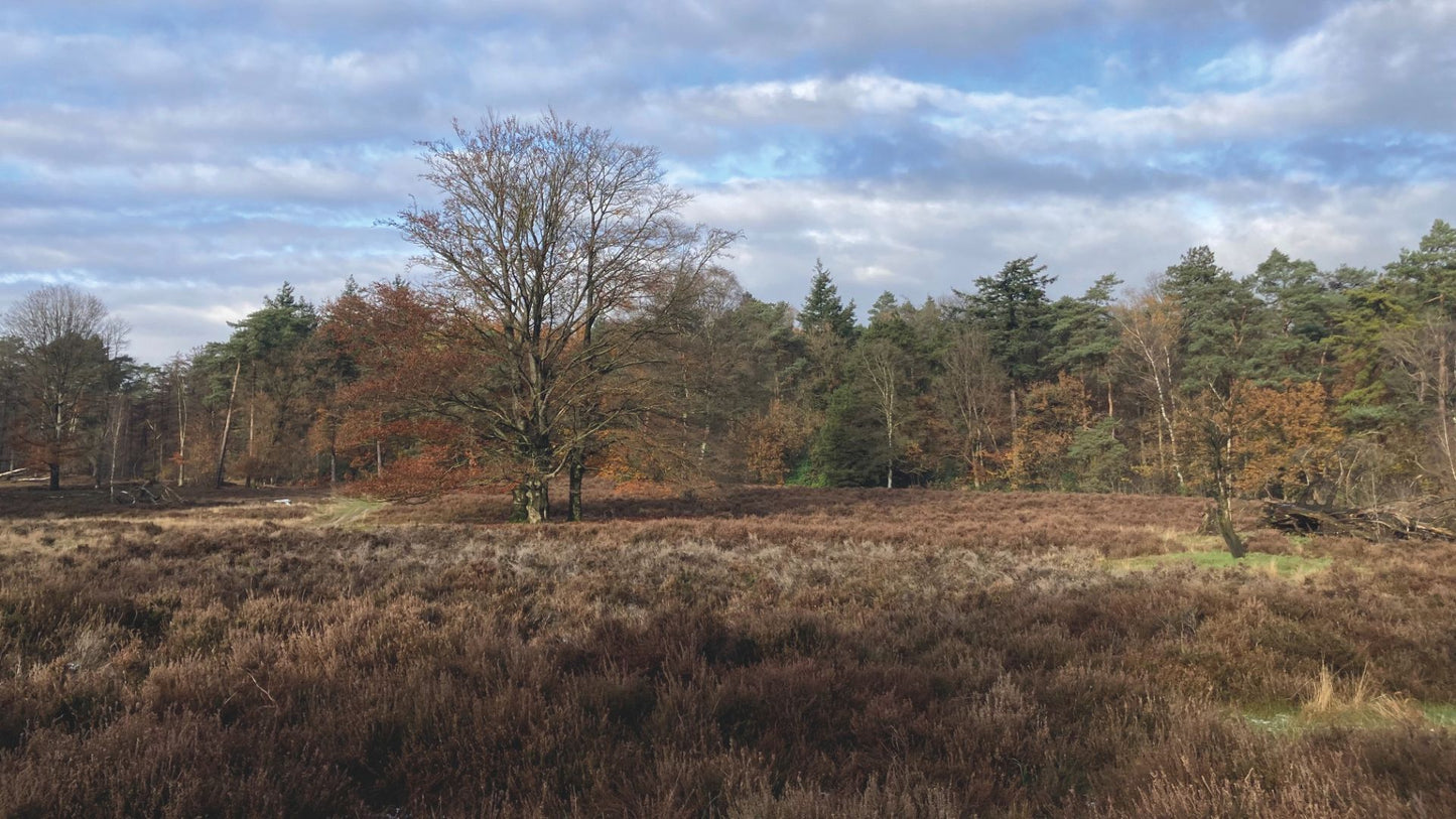 2023 - 20km - Heuvelrug Natuur Wandel4Daagse (gpx)