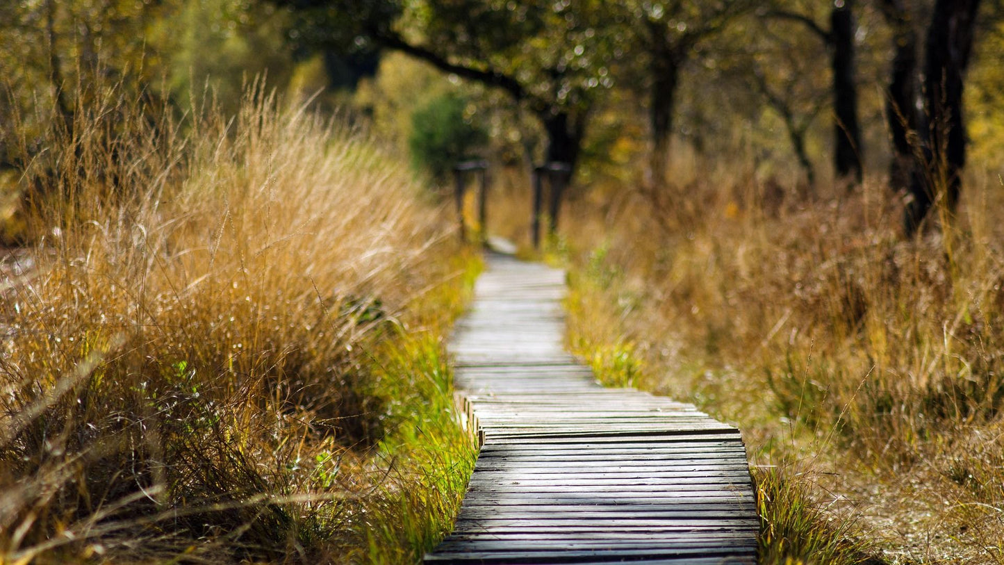 2022 - 20km - Heuvelrug Natuur Wandel4Daagse (gpx)