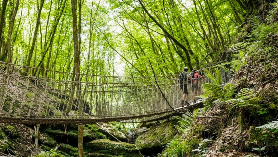 Burcht Pyrmont (DE) - Natuurwandel4daagse.nl
