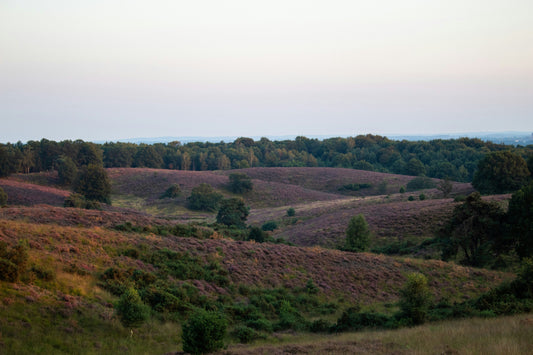 Bundel 15km - 2022/2025 - Heuvelrug Natuur Wandel4Daagse (gpx)